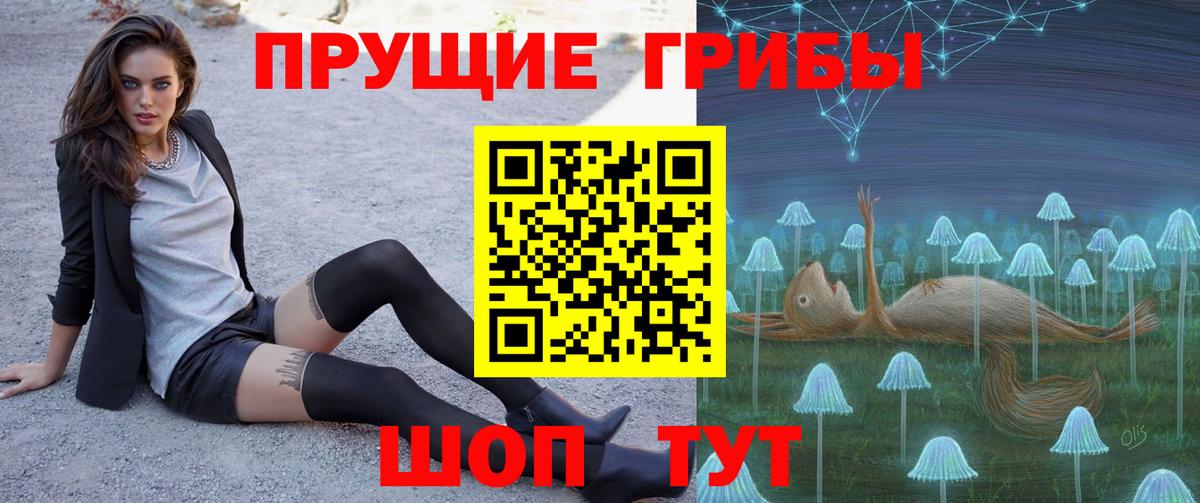 Псилоцибиновые грибы GOLDEN TEACHER Каменск-Шахтинский