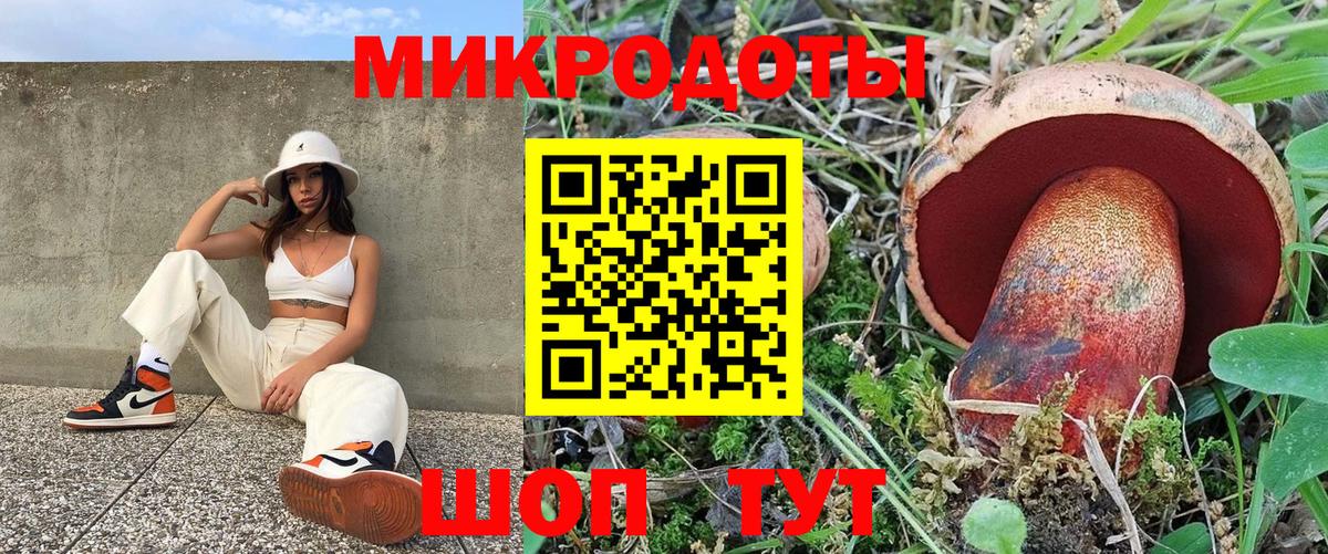 Псилоцибиновые грибы GOLDEN TEACHER  Галлюциногенные грибы прущие грибы  Вход с VPN  Каменск-Шахтинский 